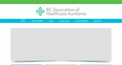 Desktop Screenshot of bchealthcareaux.org